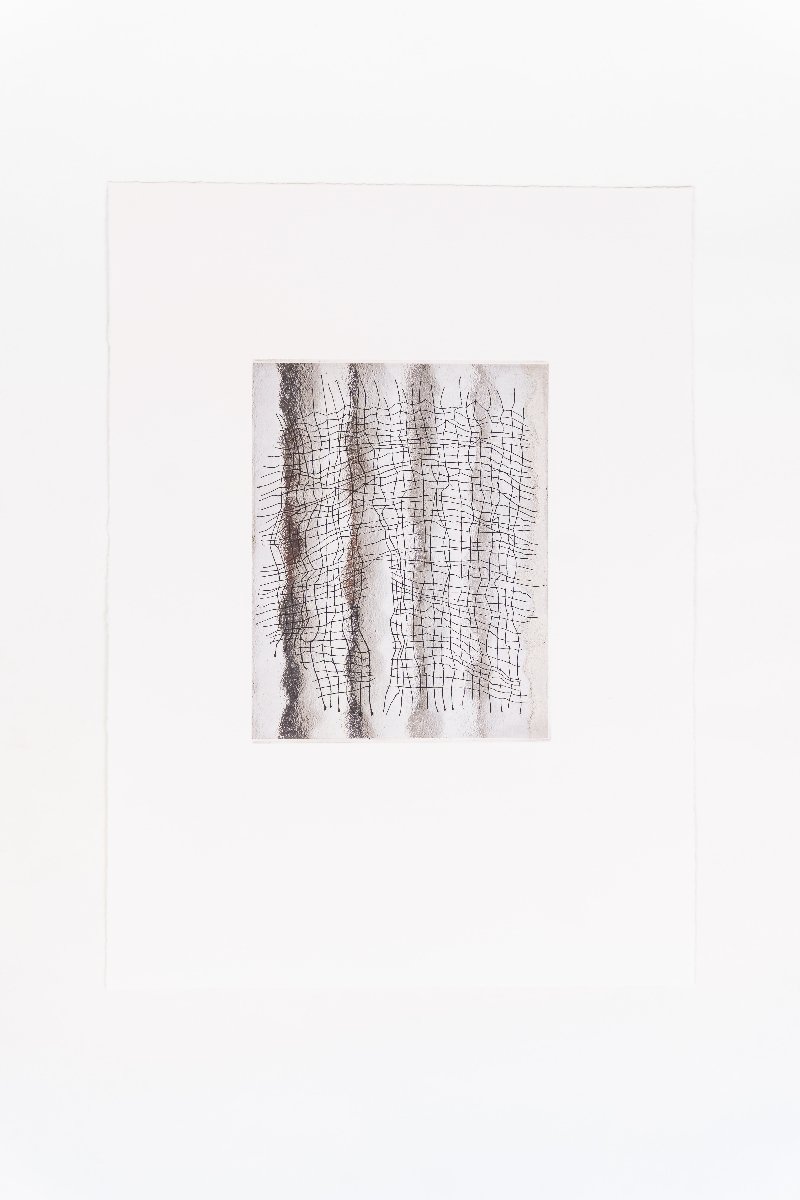 Margi Denton | Artist Archive